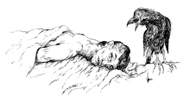 Irene Vallejo, contratapa de Cultura. Cuervo.