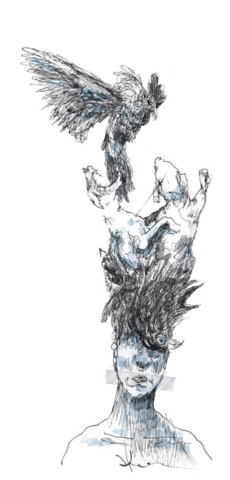 Gallo, perros, cuervos.